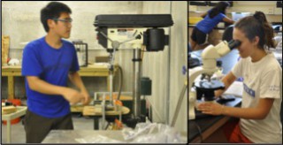 lab_rocks